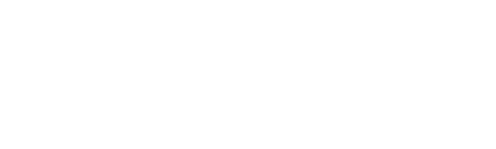 Nocerino & Aiello